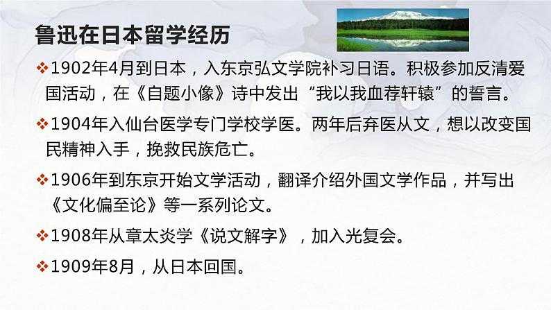部编版八年级语文上册《藤野先生》PPT课文课件 (6)07