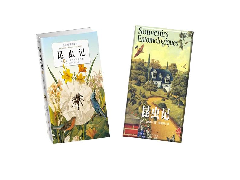 部编本八年级上语文名著导读之《昆虫记》(共62张PPT)02