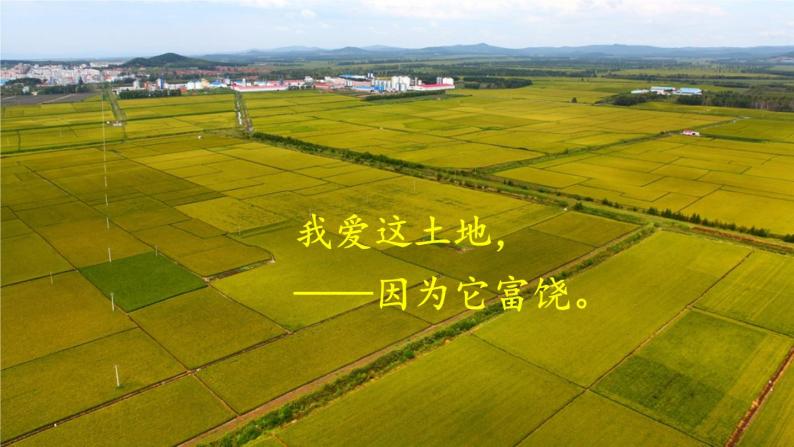 部编版语文九年级上册 3《我爱这土地》PPT课件02