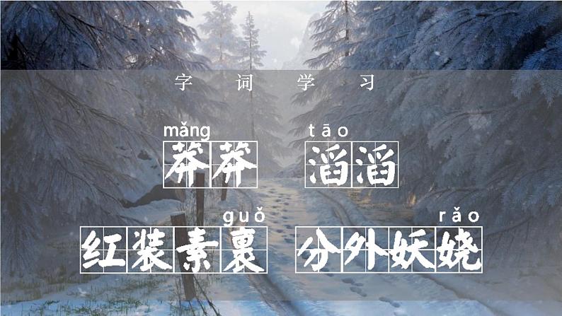 部编版九年级语文上册《沁园春·雪》PPT课文课件 (5)08