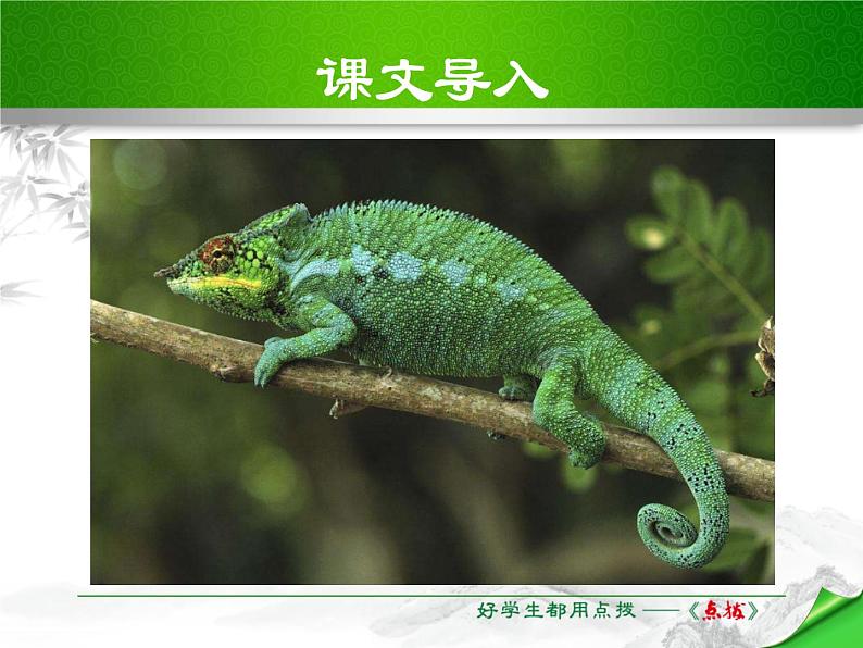 部编版九年级语文下册《变色龙》PPT课件 (2)02