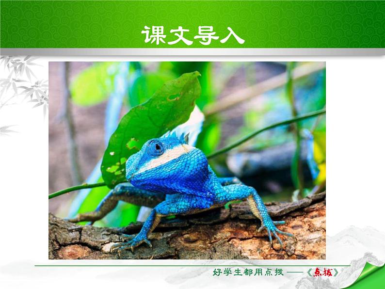 部编版九年级语文下册《变色龙》PPT课件 (2)04