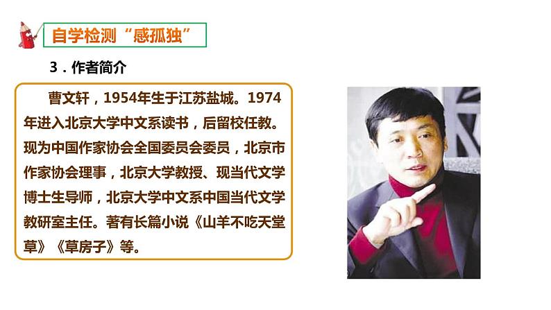 部编版九年级语文上册《孤独之旅》PPT精品课件 (4)05