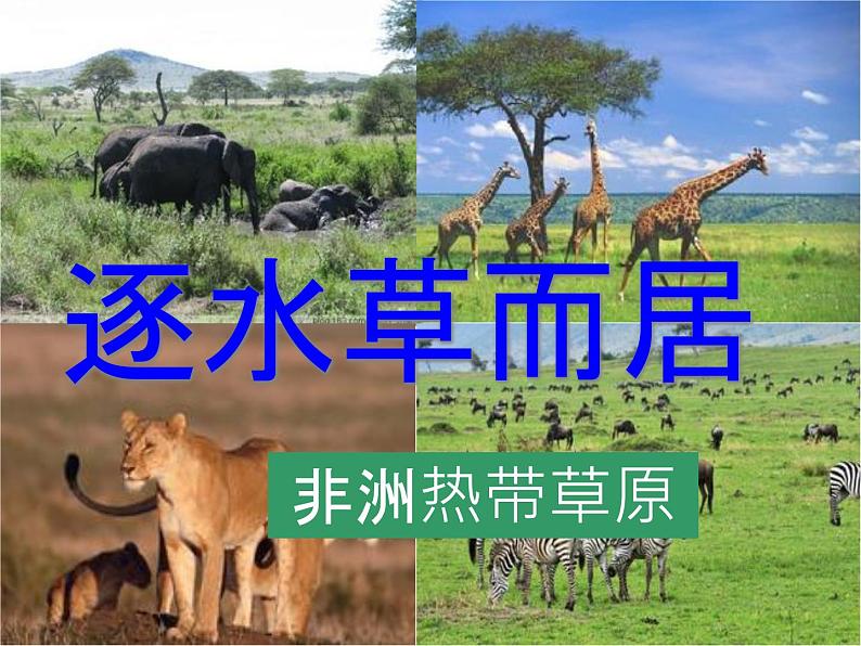 人教版历史与社会七年级上册 3.4.1逐水草而居(共28张PPT)课件PPT第2页