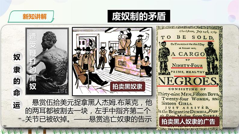 资本主义的扩展PPT课件免费下载05