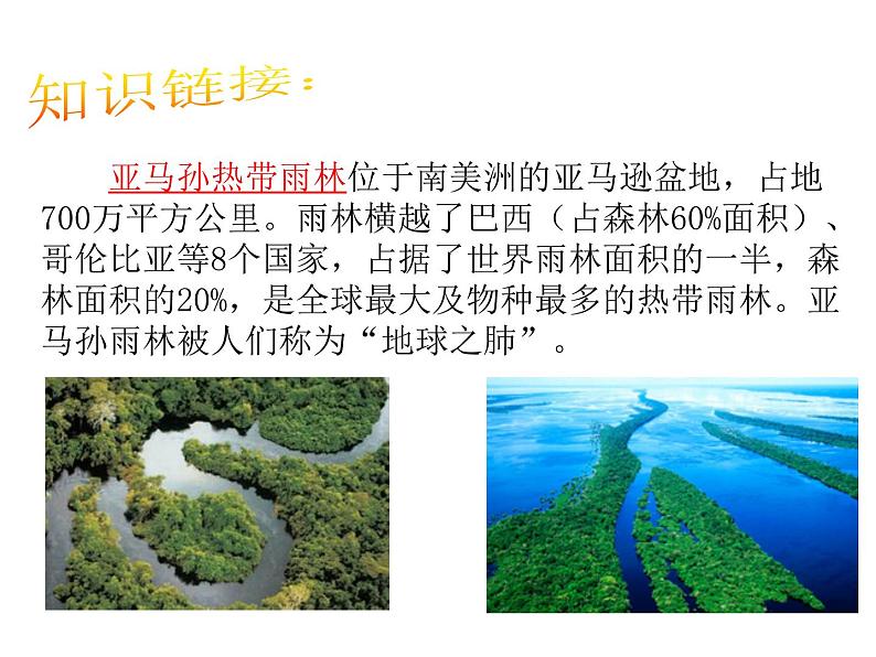2021-2022学年度人教版九年级历史与社会上册课件 8.4发展的选择第5页