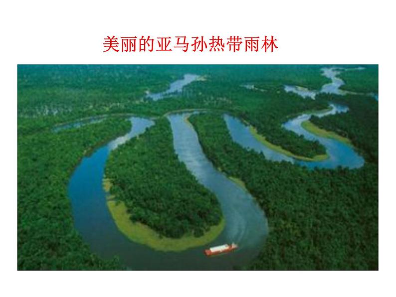 2021-2022学年度人教版九年级历史与社会上册课件 8.4发展的选择第6页