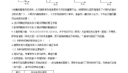 历史与社会八年级下册皇权膨胀优秀课后练习题