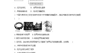 人教版 (新课标)九年级下册第二课 经济全球化课时练习