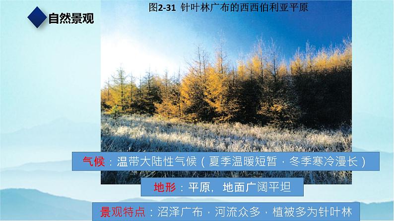 七年级历史与社会上册 2.2.4风光迥异 课件+练习(人教版新课标)07