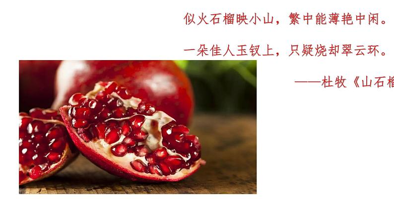 1.2.3:往来在区域之间同步教学课件第3页