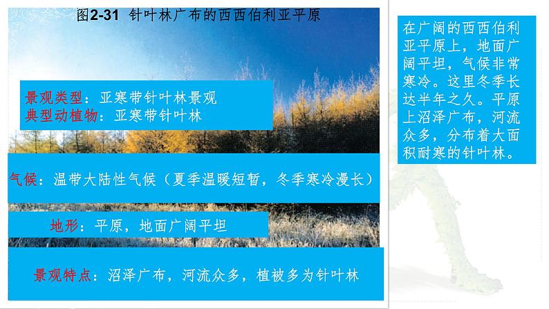 2.2.4风光迥异第4页