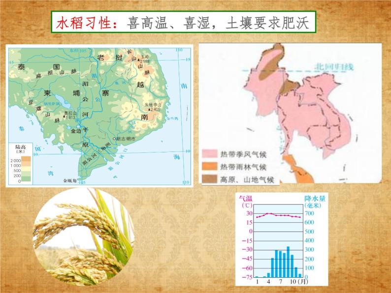 3.1.1稻作文化的印记 课件--2022-2023学年浙江省人教版人文地理七年级上册05