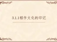 3.1.1《稻作文化的印记》课件--2022-2023学年浙江省人教版人文地理七年级上册