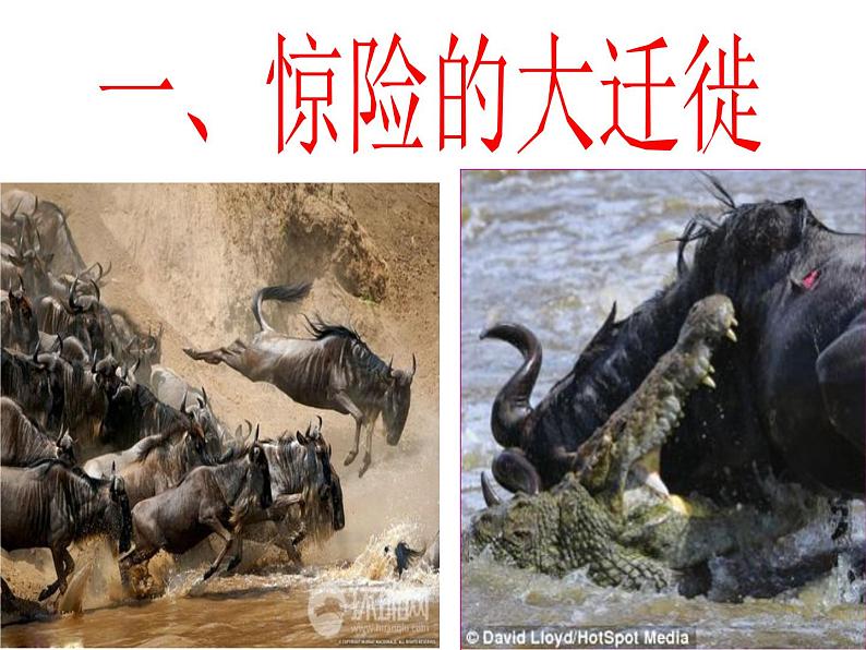 3.4.1逐水草而居同步课件第7页