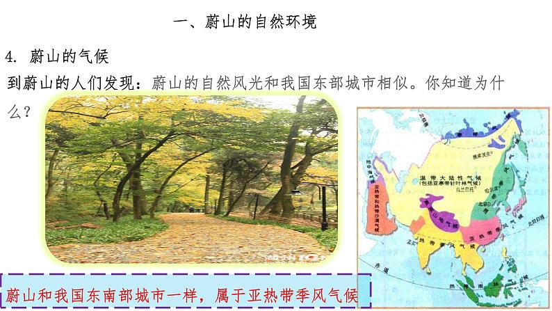 3.6.4汽车城:蔚山 教学同步课件第6页