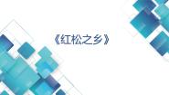 初中历史与社会人教版 (人文地理)下册第一框 红松之乡背景图课件ppt