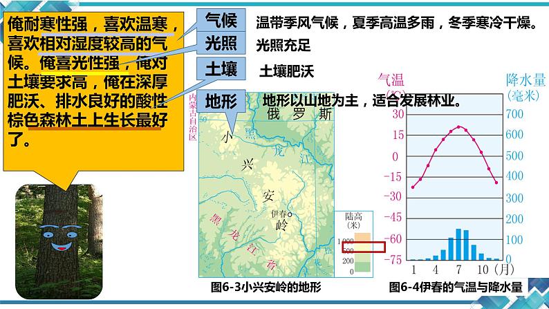 5.1.1《红松之乡》 课件第6页
