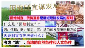初中历史与社会人教版 (人文地理)下册第二框 因地制宜谋发展课堂教学课件ppt