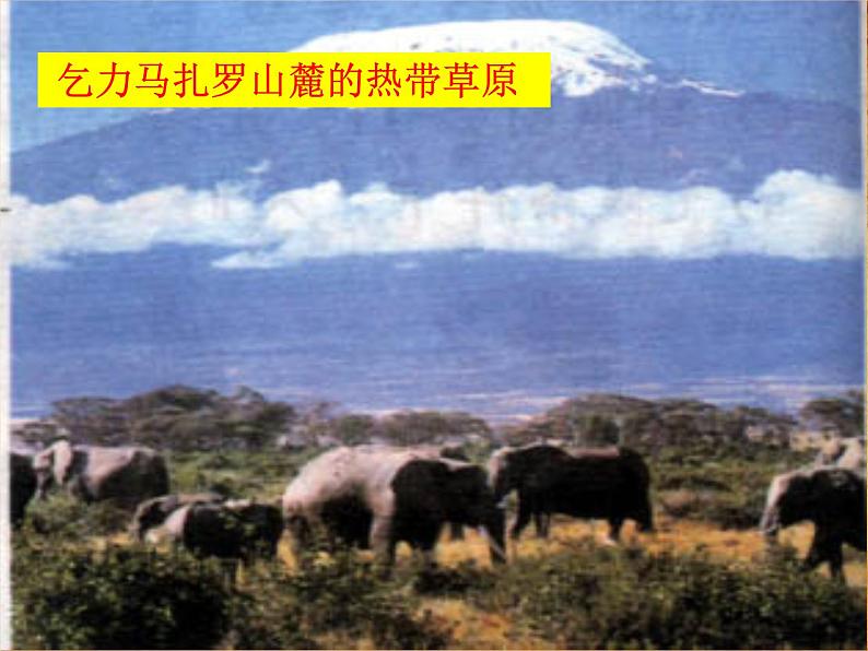 2.2.4风光迥异第7页