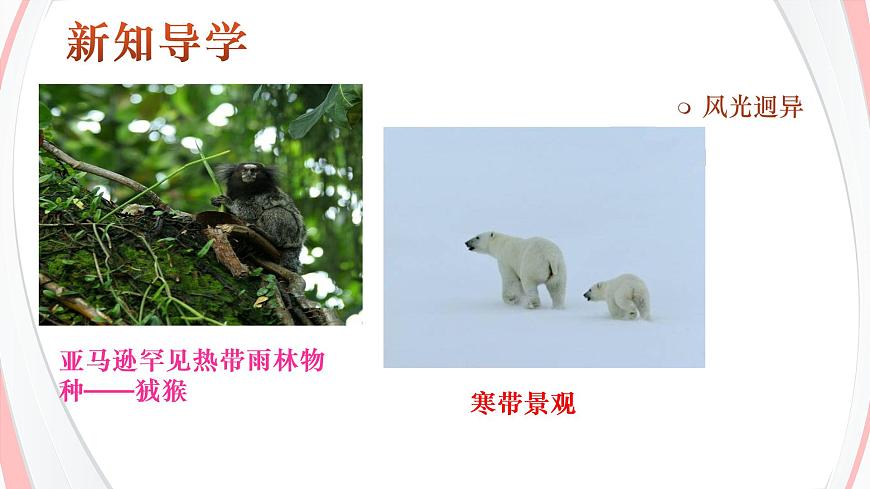 2.2.4風(fēng)光迥異第4頁(yè)