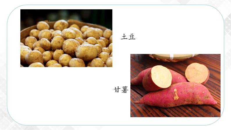 5.1.3 农耕文明的繁盛(课件)第3页