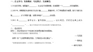 初中历史与社会人教版 (新课标)八年级下册第三课 资本主义的扩展学案
