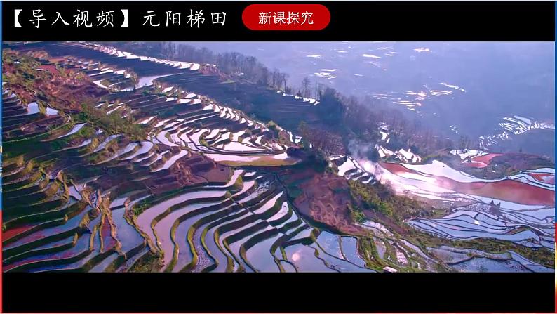 综合探究五 如何开展社会调查——以调查家乡为例 课件+分层作业(原卷版+解析版)-人教版历史与社会人文地理八年级下册02