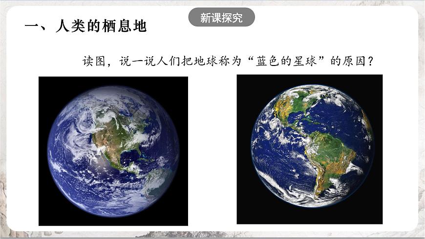 2.1《大洲和大洋》課件第5頁