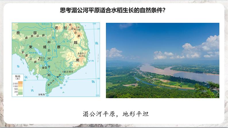 3.1.1《稻作文化的印记》课件第4页