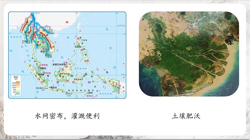 3.1.1《稻作文化的印记》课件第6页