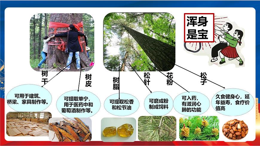 5.1《北方地區(qū)》課件-人教版人文地理下冊(cè)第4頁(yè)