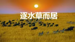 《逐水草而居》課件