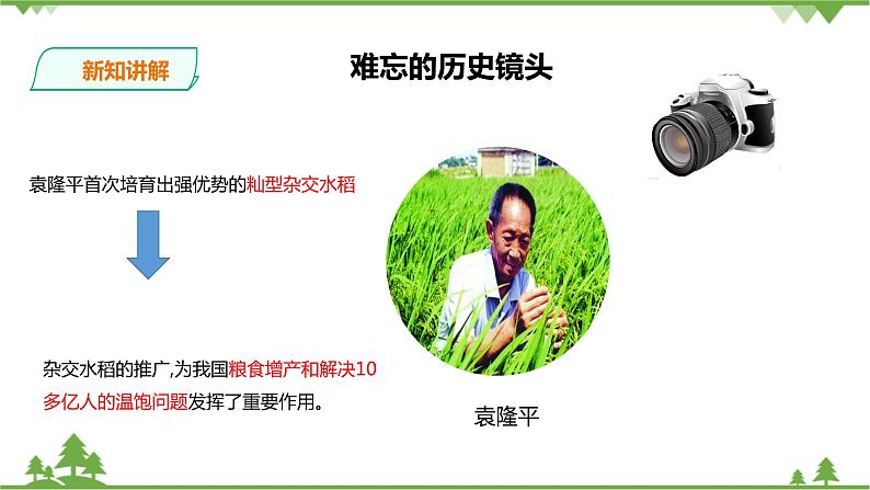 7.1.2中国发展的历史性跨越(课件 教案 练习)03