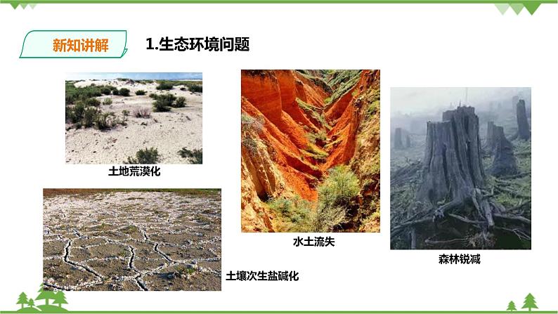 8.3.2加快改善我国的生态环境(课件+教案+练习)06