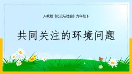 人教版2020-2021学年历史与社会九年级下册8.3.1愈演愈烈的环境问题 课件（共28张PPT）