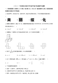 2021年黑龙江省绥化市中考数学真题试卷及答案（原卷+解析卷）