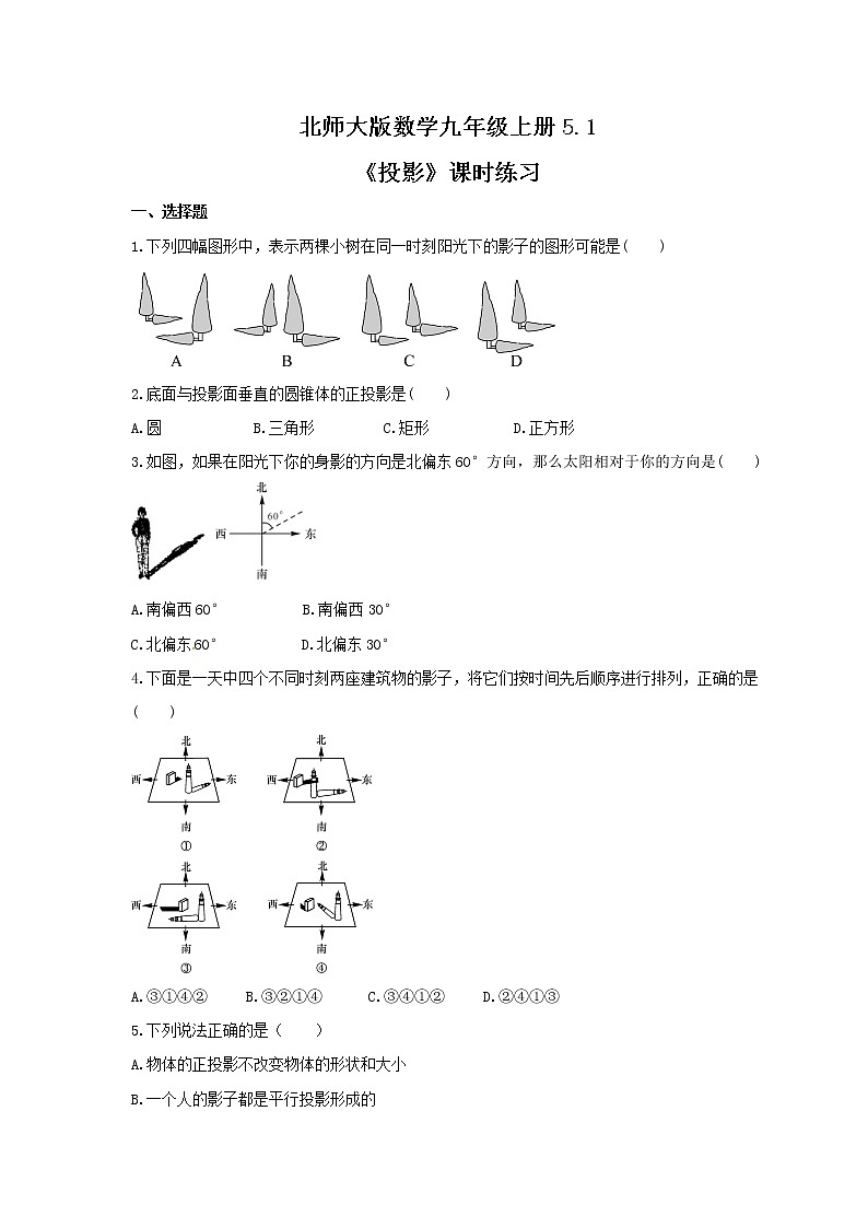 2021年北师大版数学九年级上册5.1《投影》课时练习(含答案)01