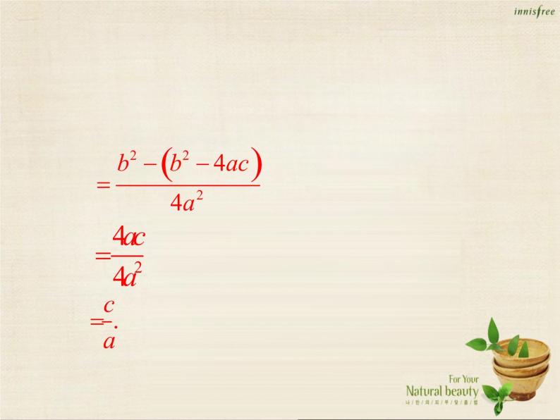 九年级数学上册 21.2.4 一元二次方程的根与系数的关系课件 （新版）新人教版08