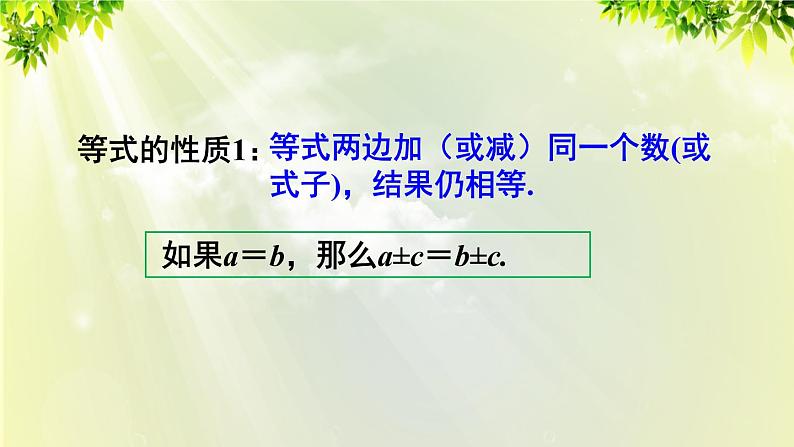 人教版七年级数学上册 第三章 3.1.2 等式的性质 课件第8页