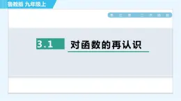 鲁教版九年级上册数学习题课件 第3章 3.1对函数的再认识