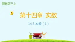 14.3实数第一课时-冀教版八年级数学上册课件