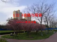 22.3實(shí)踐與探索（利潤(rùn)問題）-華東師大版九年級(jí)數(shù)學(xué)上冊(cè)課件(共14張PPT)