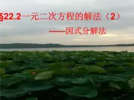 22.2.1一元二次方程的解法（1）直接開平方法（2）因式分解法-華東師大版九年級(jí)數(shù)學(xué)上冊(cè)課件