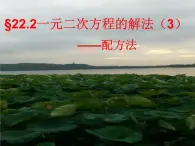 22.2.3一元二次方程的解法（3）配方法（4）公式法-華東師大版九年級(jí)數(shù)學(xué)上冊(cè)課件