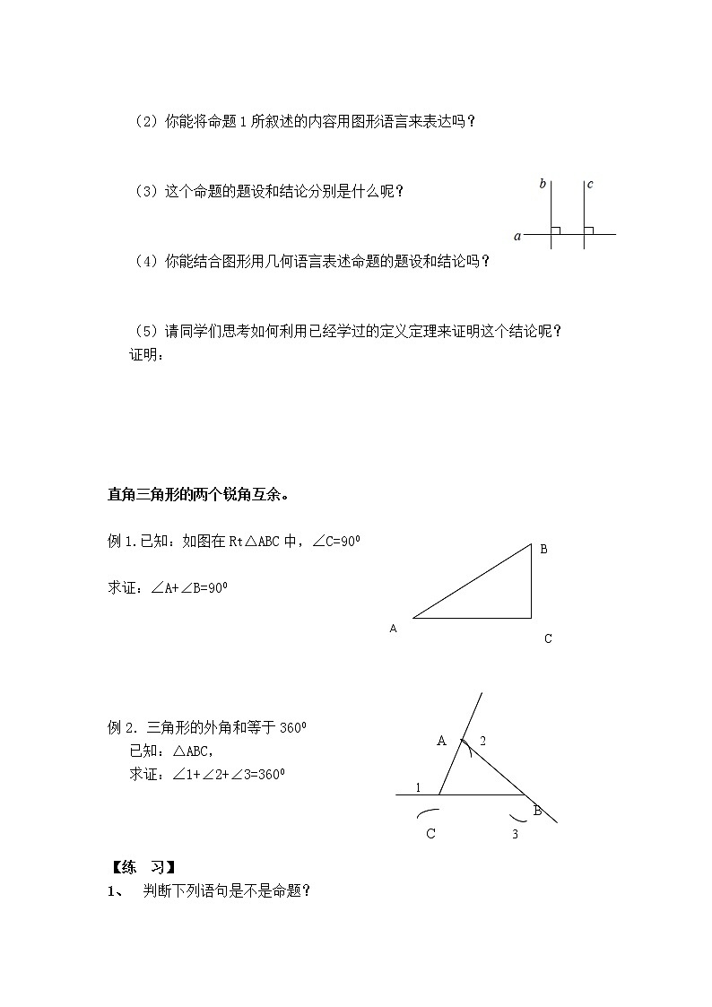 华师版八年级上册数学 【教学设计】13.1.1 命题.doc02