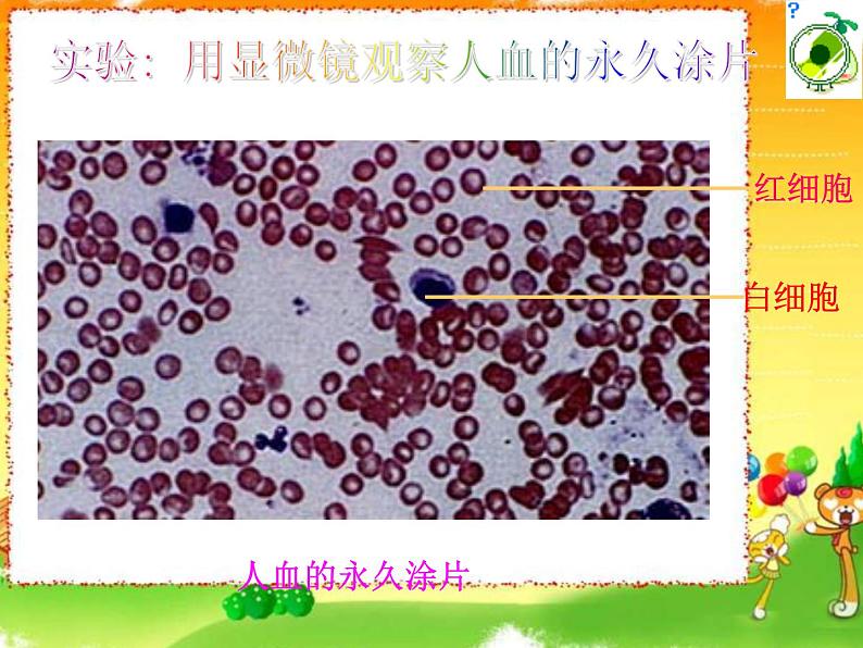 2020-2021学年人教版数学七年级上册近似数课件PPT第8页