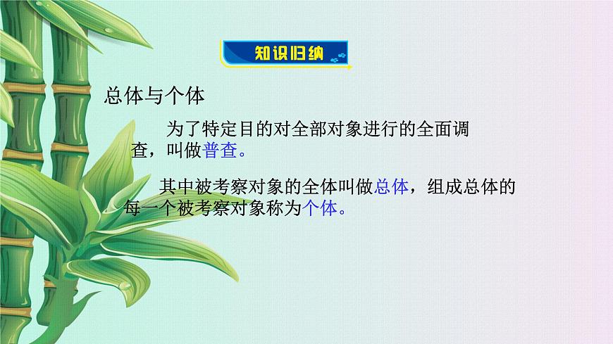 青島版七年級(jí)上冊 數(shù)學(xué)  數(shù)據(jù)的收集整理與描述《普查和抽樣調(diào)查》課件第5頁