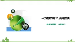 湘教版數(shù)學(xué)八年級(jí)上冊(cè)  3.1.1 平方根的意義及其性質(zhì)（課件+教案+練習(xí)）