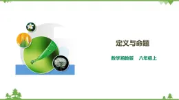 湘教版數(shù)學(xué)八年級(jí)上冊(cè)  2.2.1定義與命題（課件+教案+練習(xí)）
